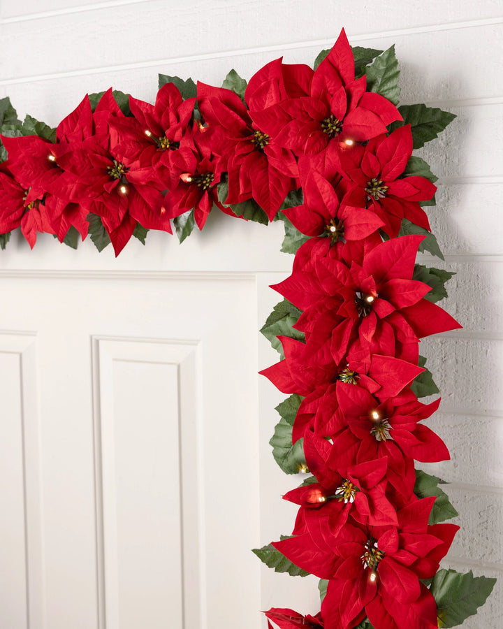 Compositions végétales lumineuses d'extérieur festives en poinsettia